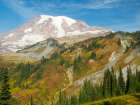 USA-WA-Mount Rainier National Park Mount Rainier and fall color-view from Skyline Trail Art Print